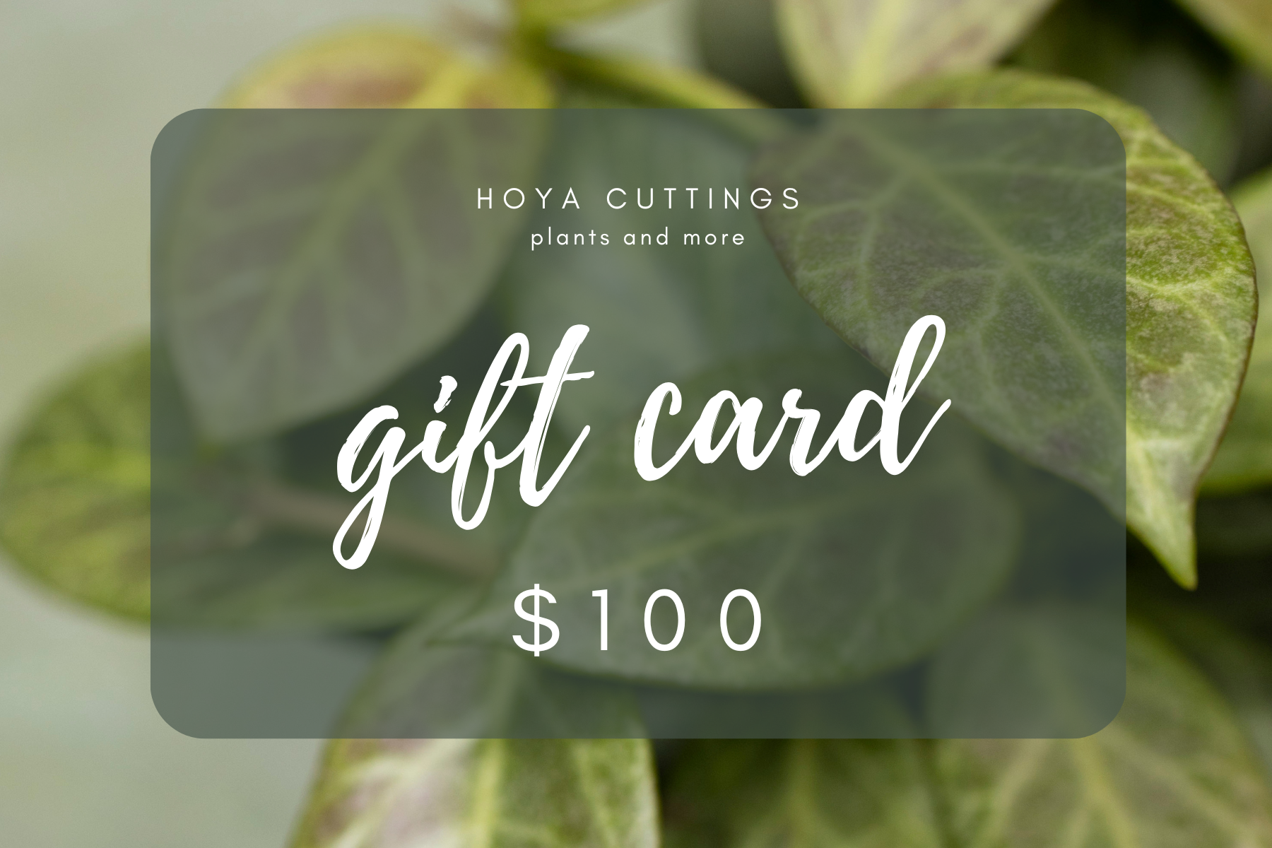 HC Gift Card