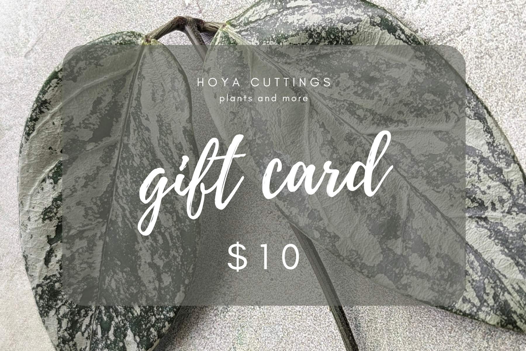 HC Gift Card