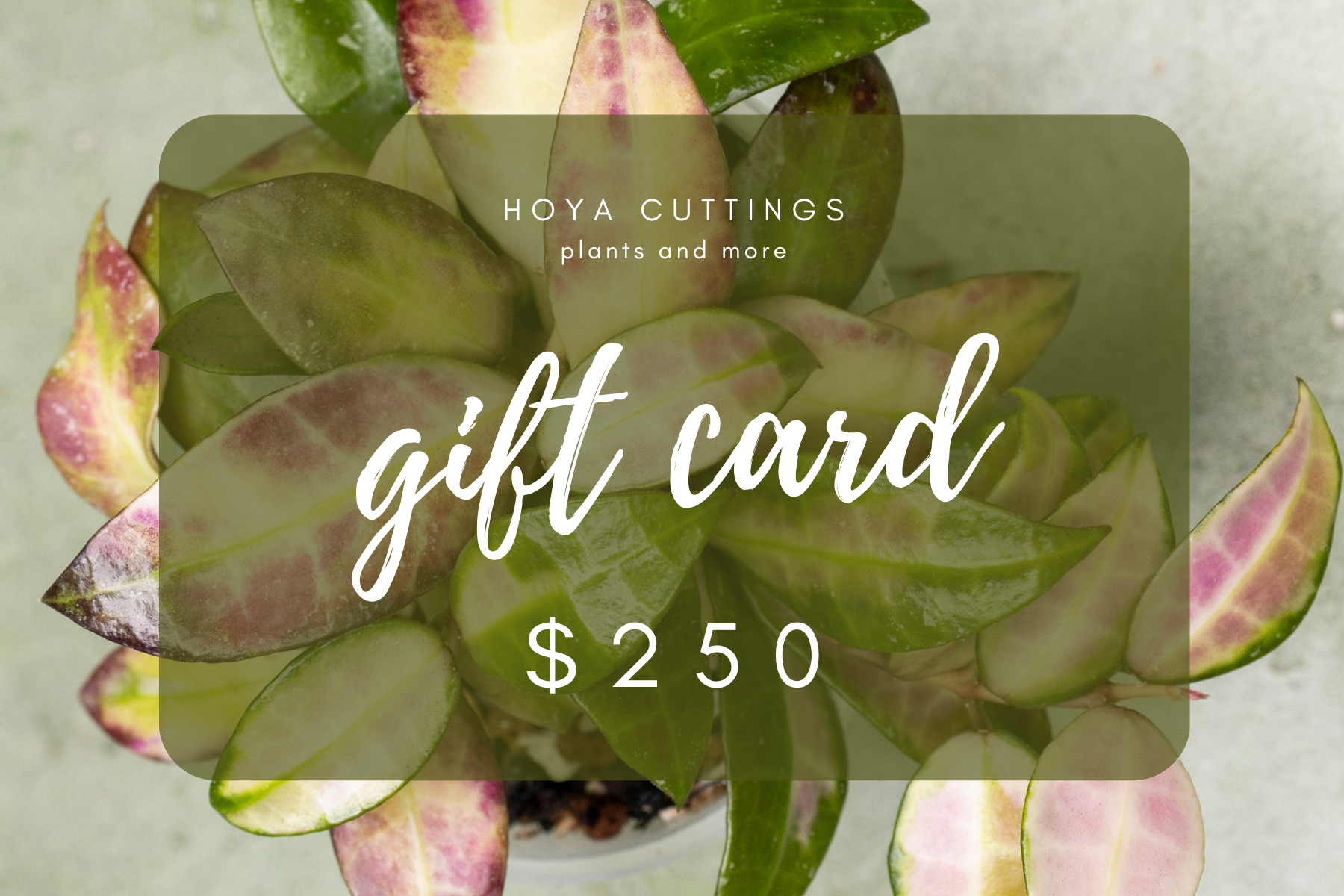 HC Gift Card