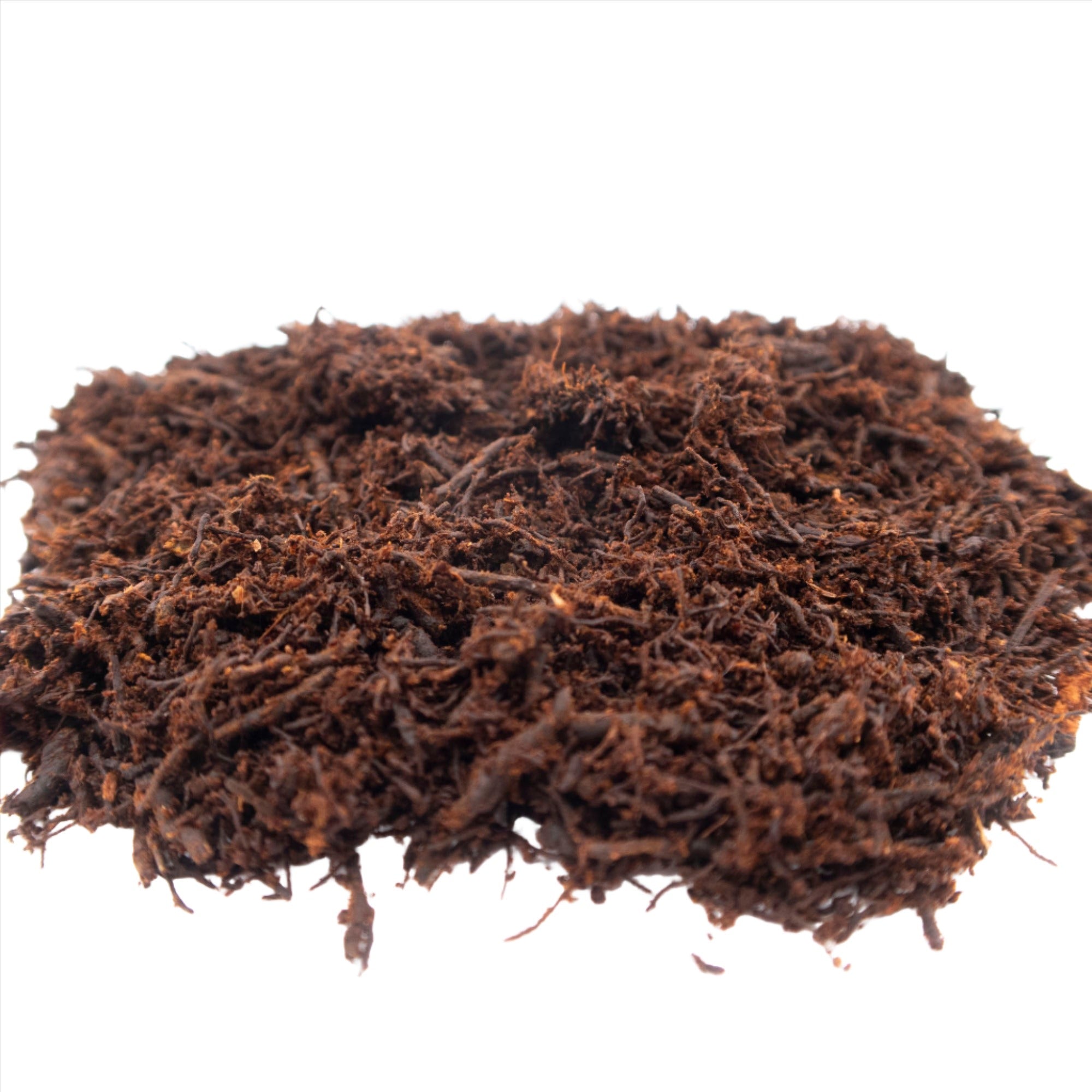 Fernwood Soft Tree Fern Substrate