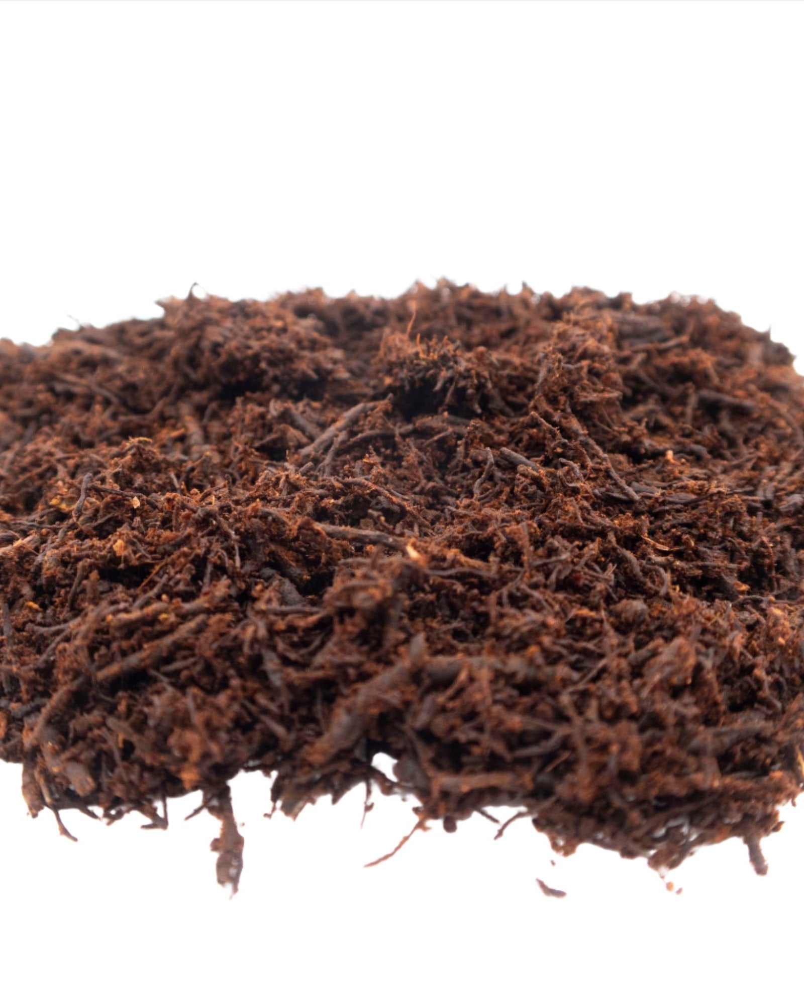 Fernwood Soft Tree Fern Substrate