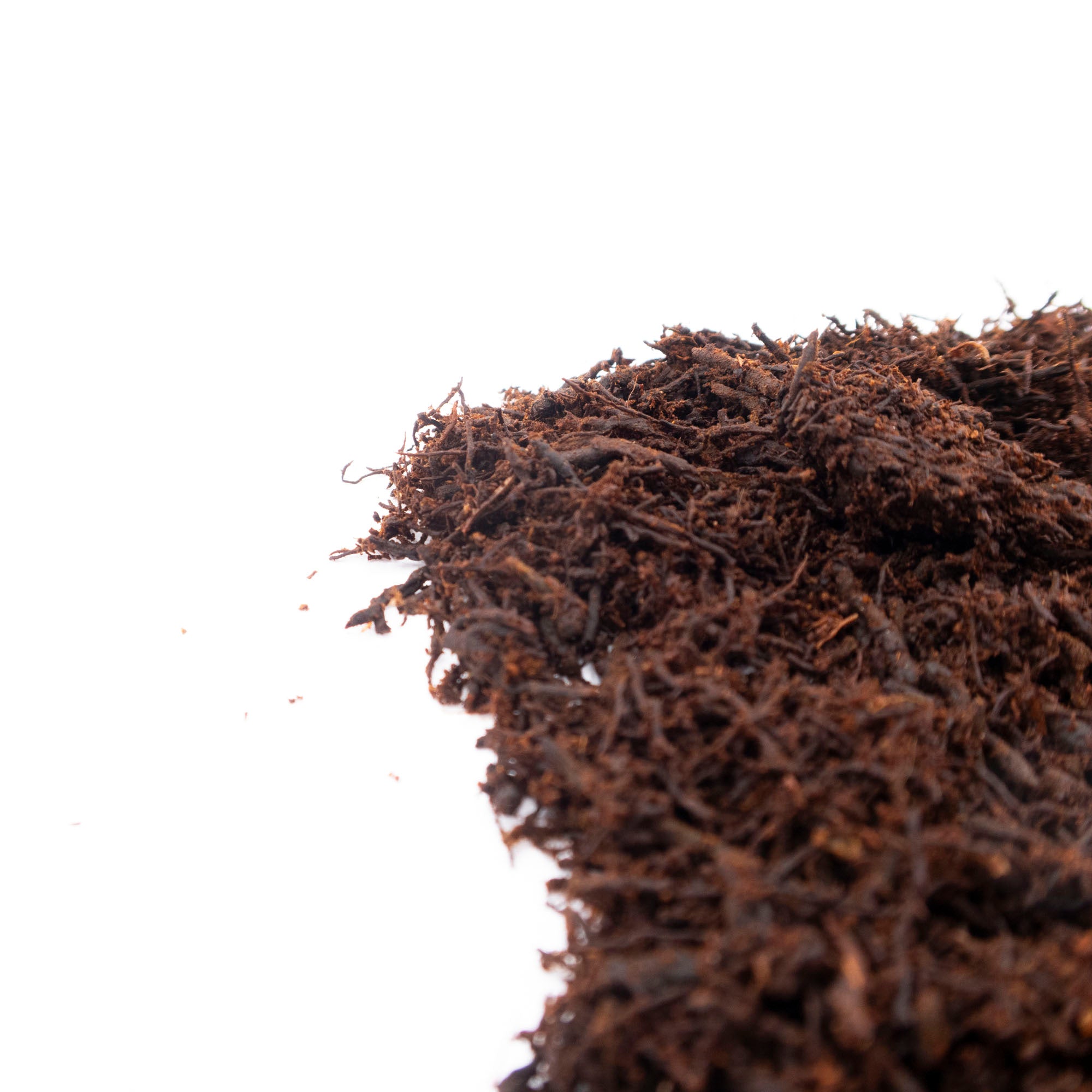 Fernwood Soft Tree Fern Substrate