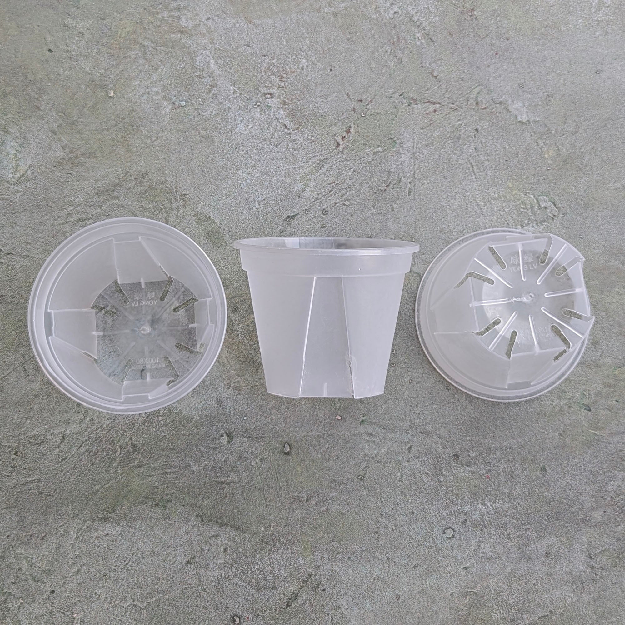 Compact White Opaque Plastic Pots for Hoyas and Small Plants