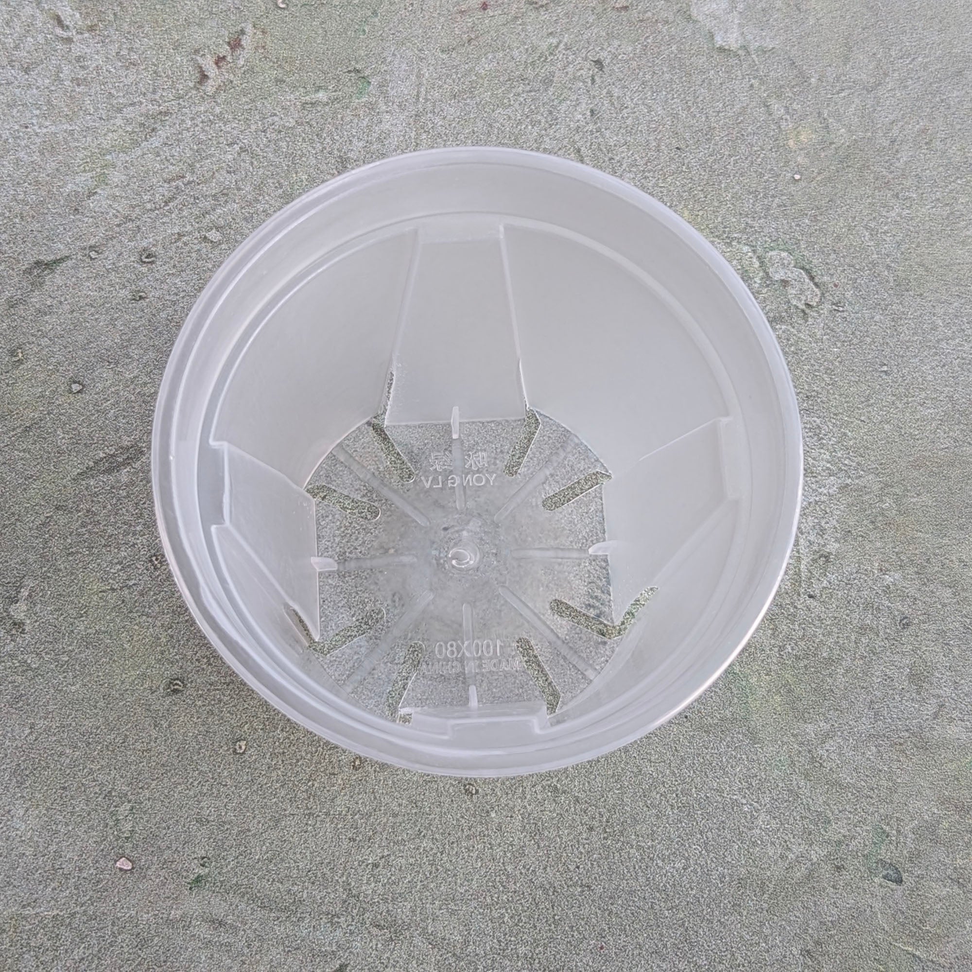Compact White Opaque Plastic Pots for Hoyas and Small Plants