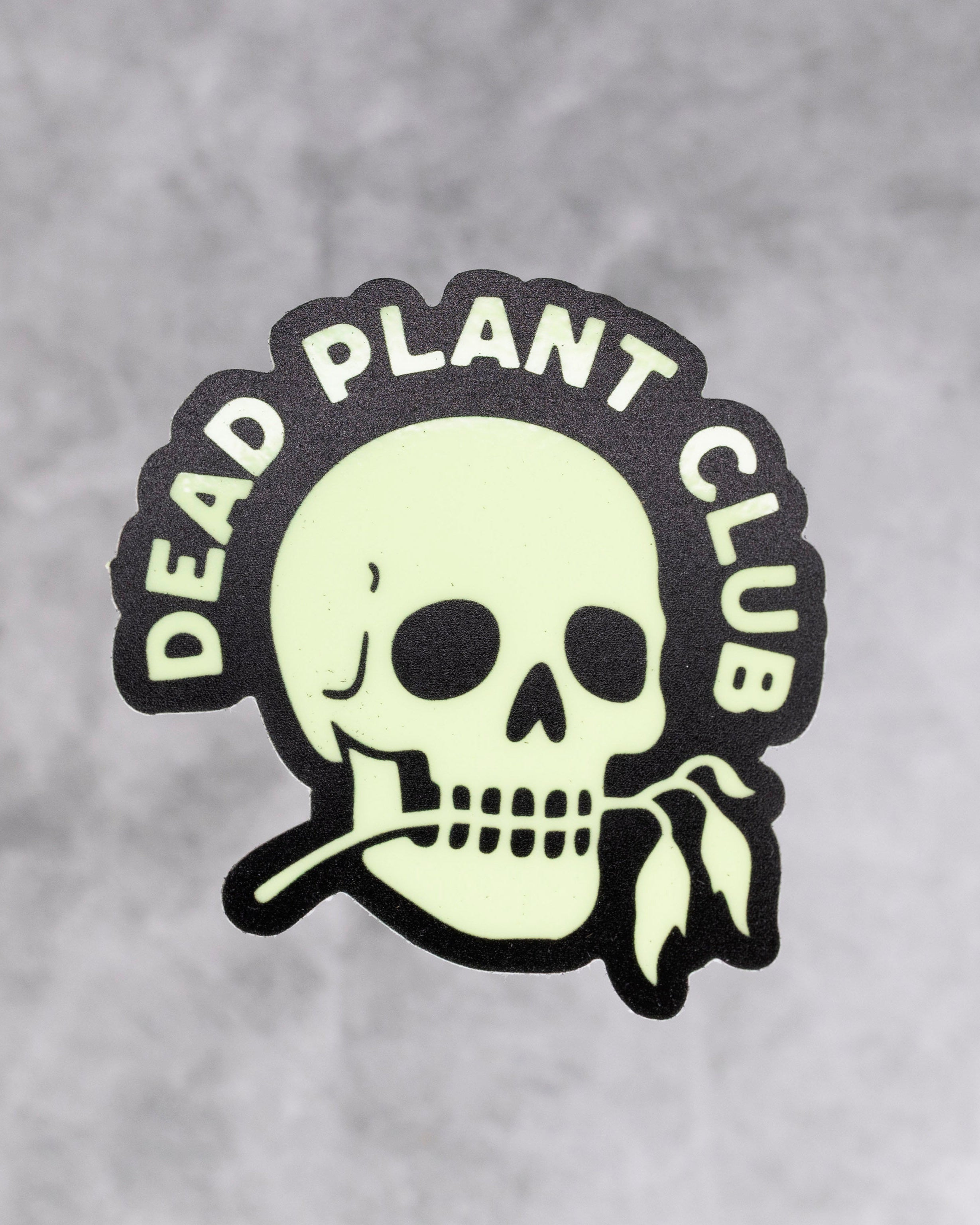 Glowing skull and crossbones logo with &