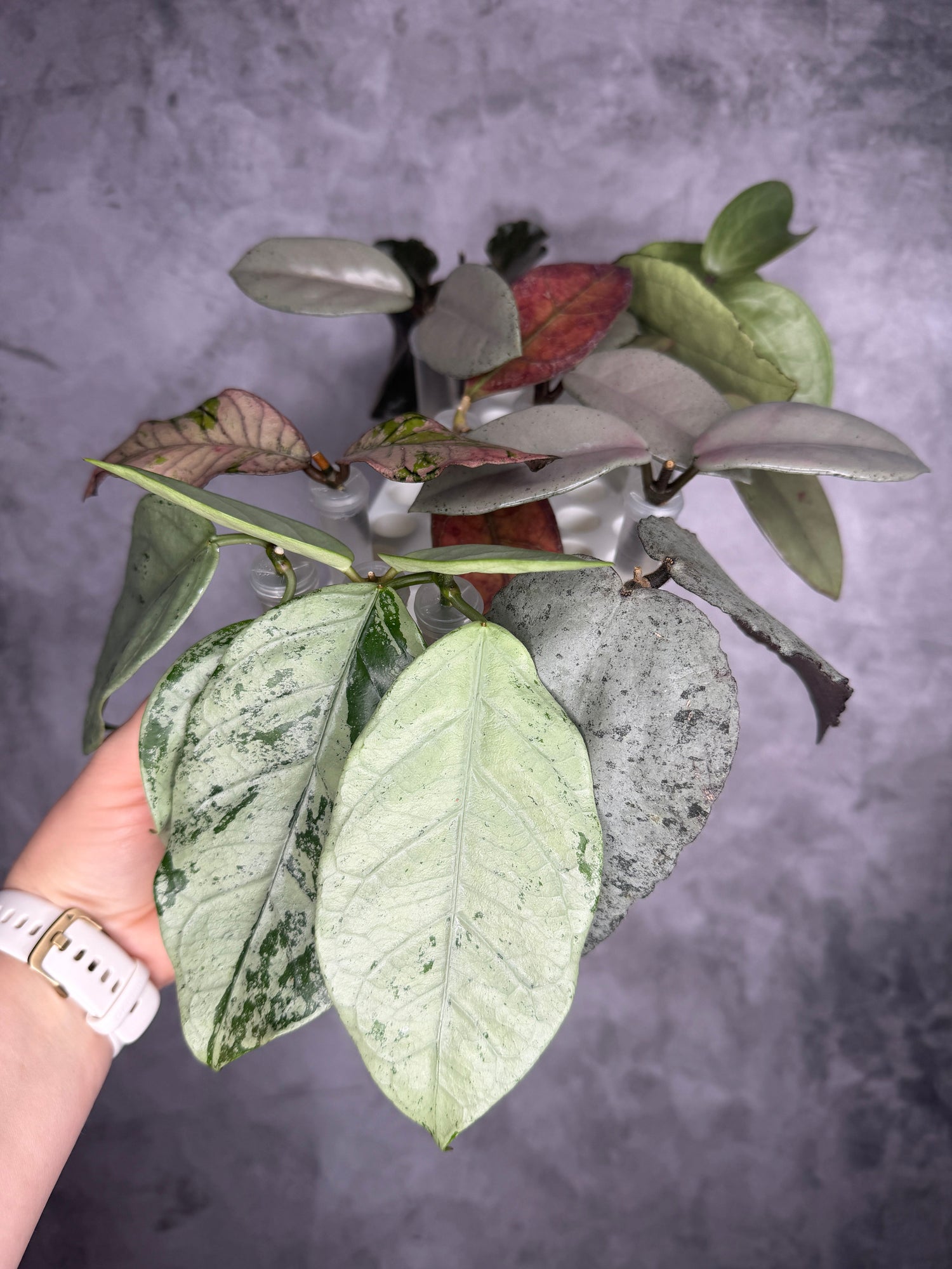 Shop Updates - March 2026