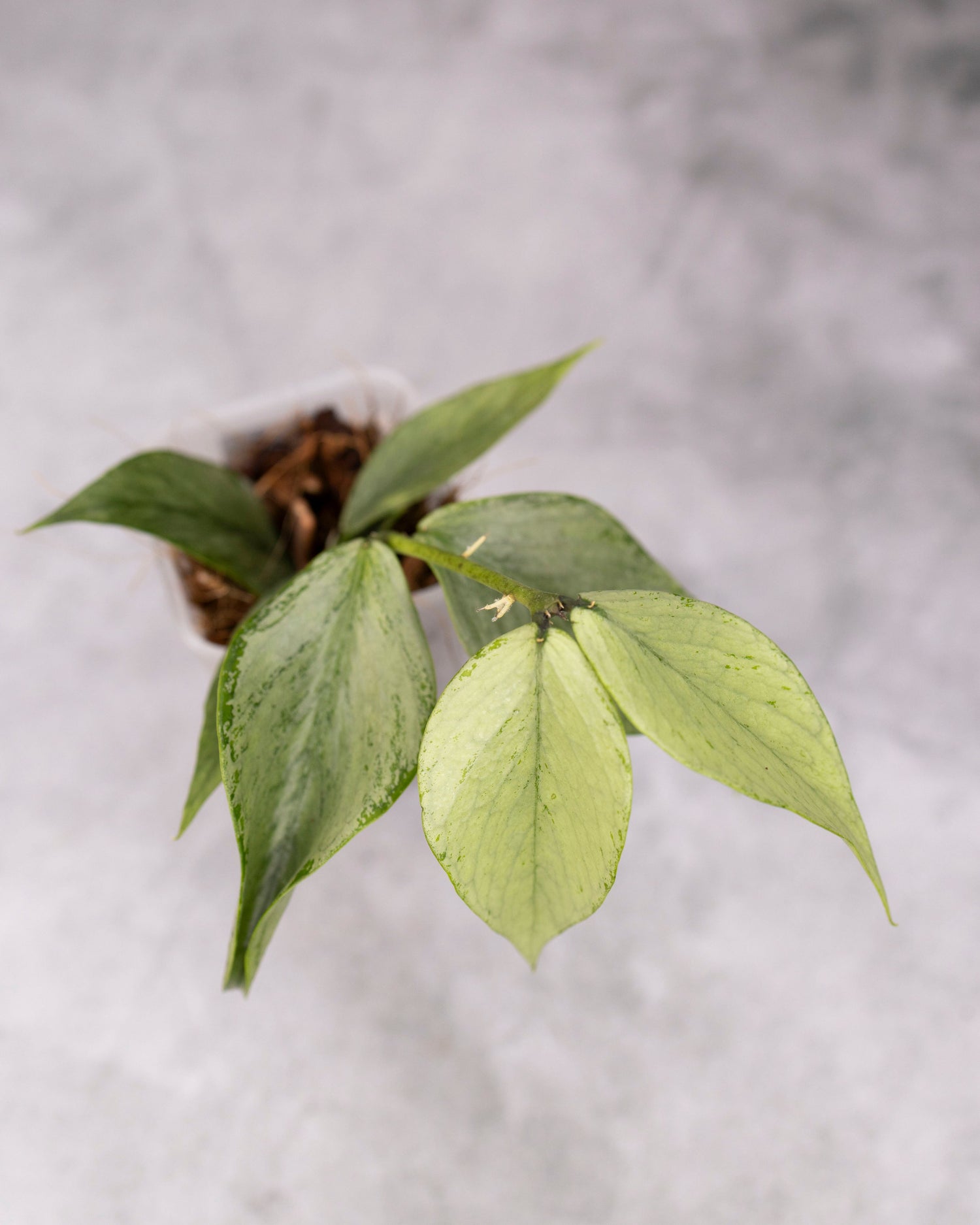 Shop Updates - April 2026