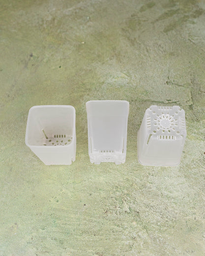white plastic pot planter White Pot 1.5 Inch – Hoya Cuttings