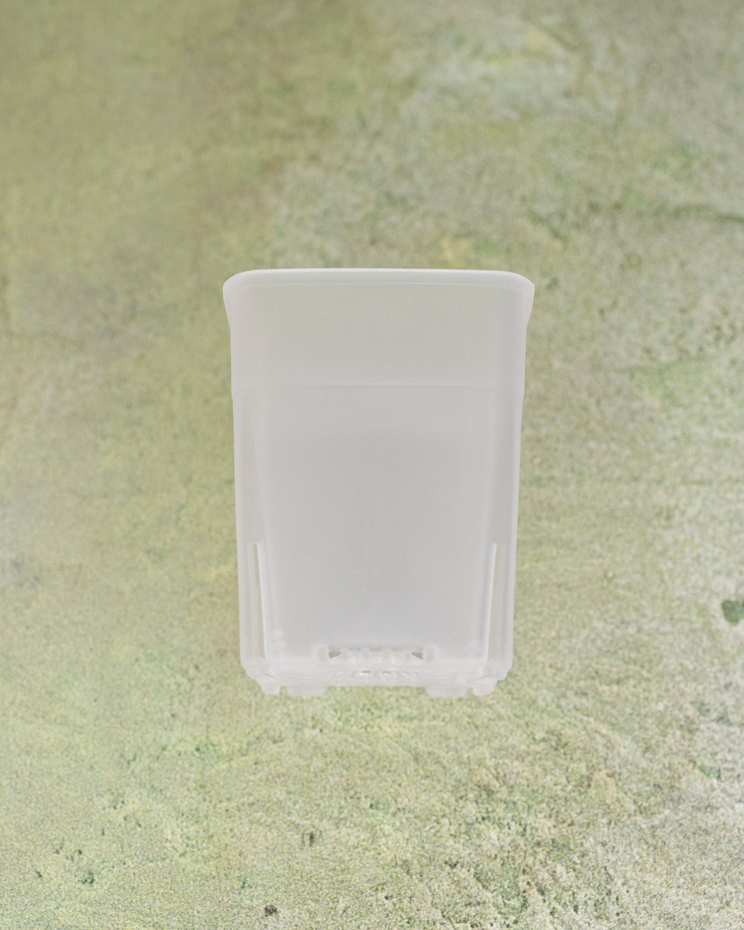 clear plastic planting pots White Pot 1.5 Inch – Hoya Cuttings