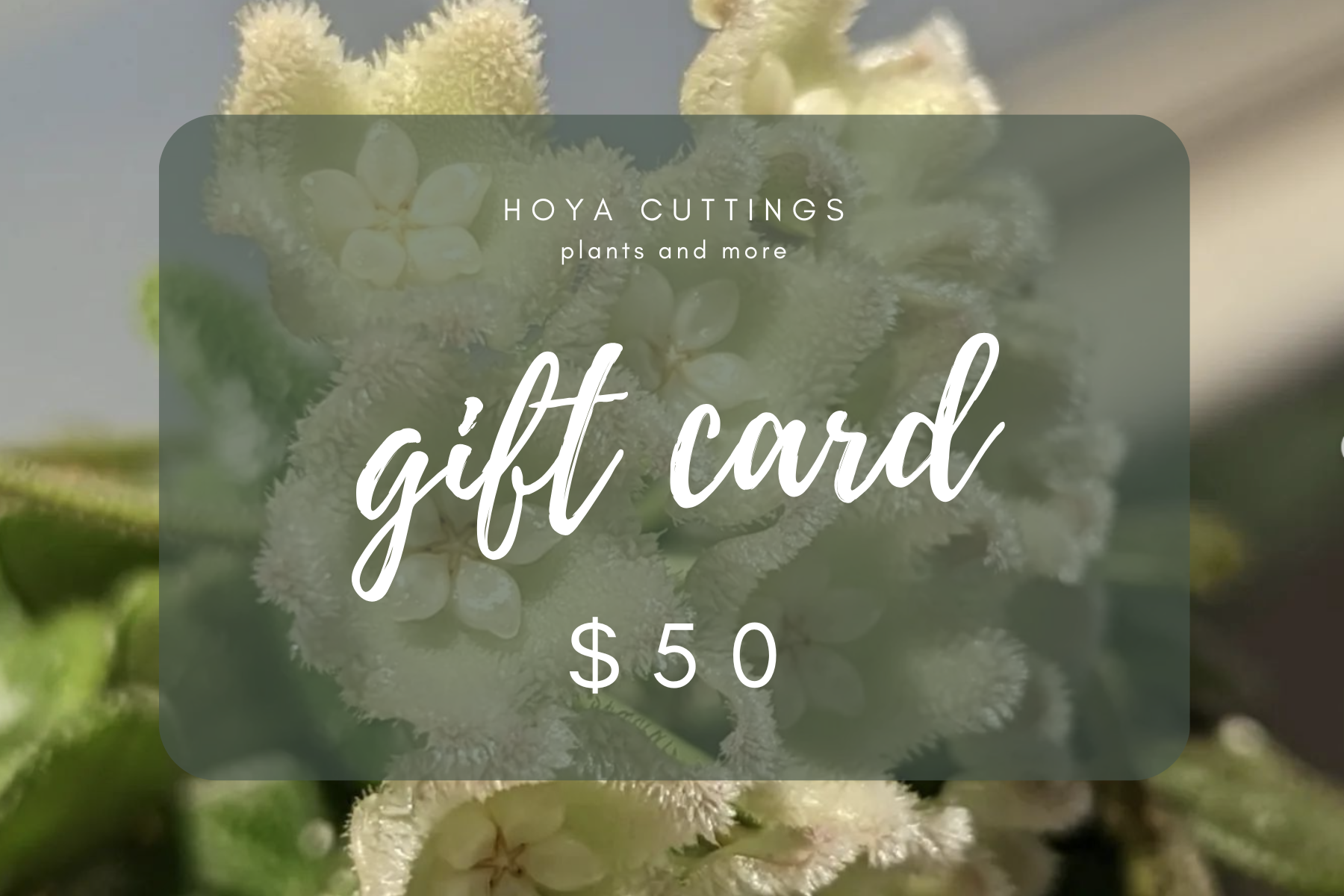 HC Gift Card