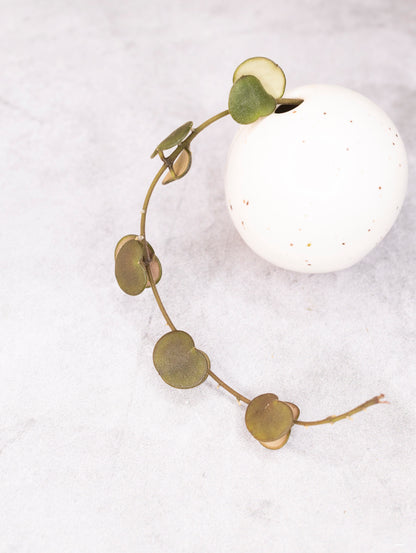 Decorative wreath with green leaves around a white ceramic vase on a light gray background