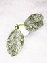 Pair of green leaf-shaped earrings on a light gray background