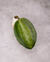 Green leaf on a textured gray background