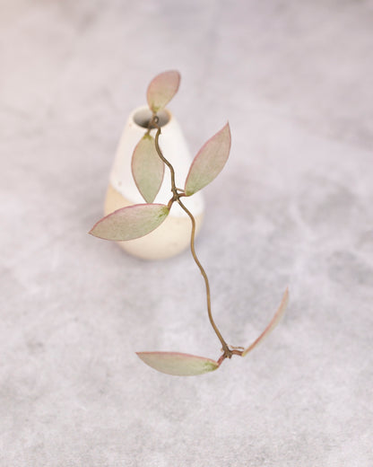 Small white vase with a branch on a textured gray background