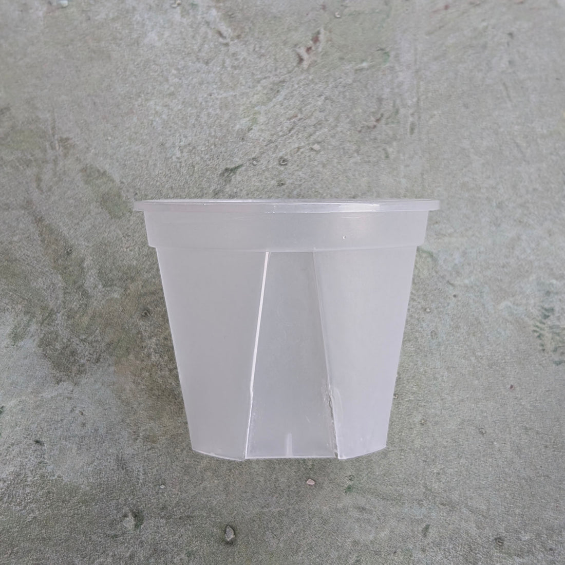 Compact White Opaque Plastic Pots for Hoyas and Small Plants