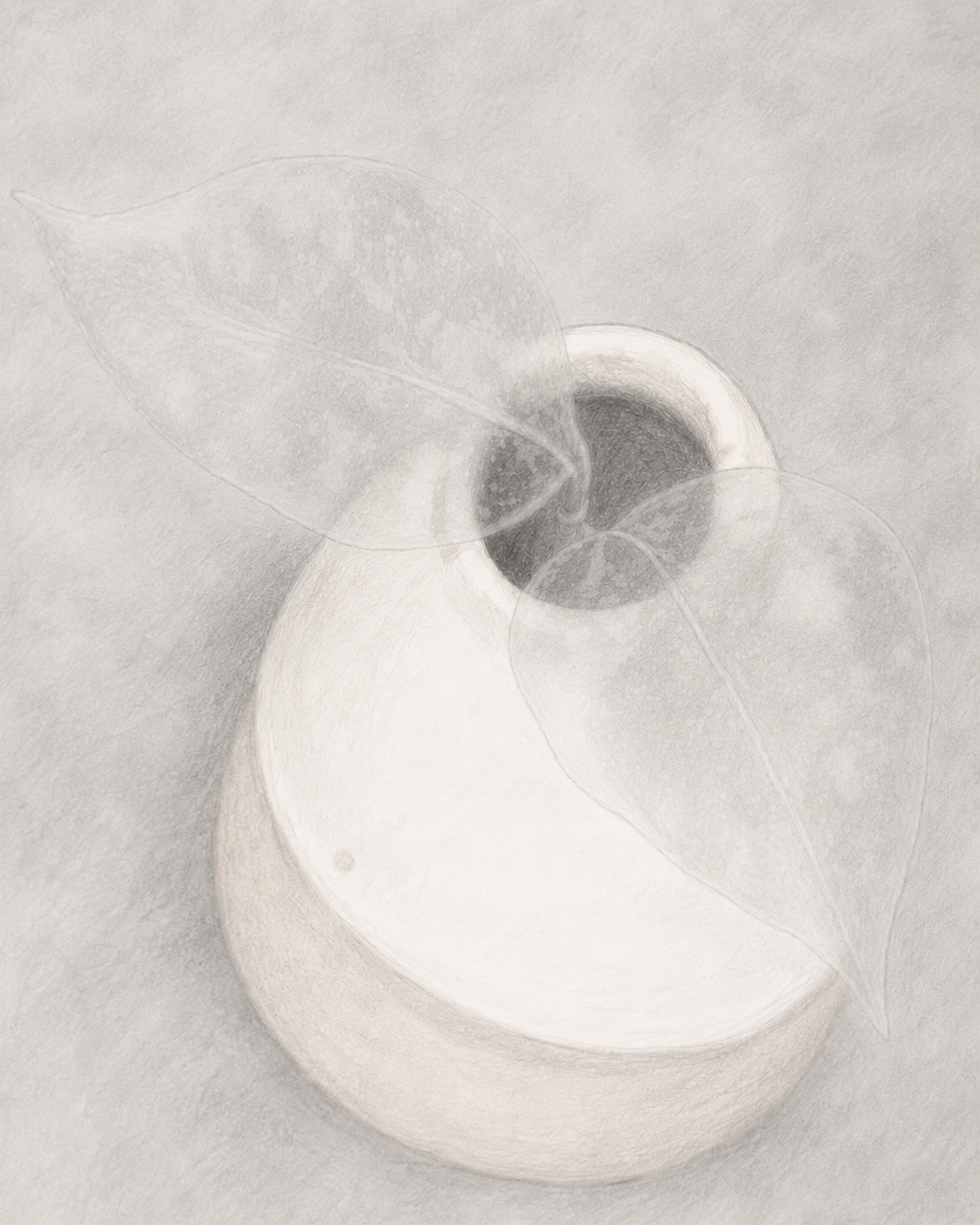 A monochrome pencil-style drawing of a rounded vase or pot viewed from above, with two translucent leaf shapes layered over it on a textured light gray background.