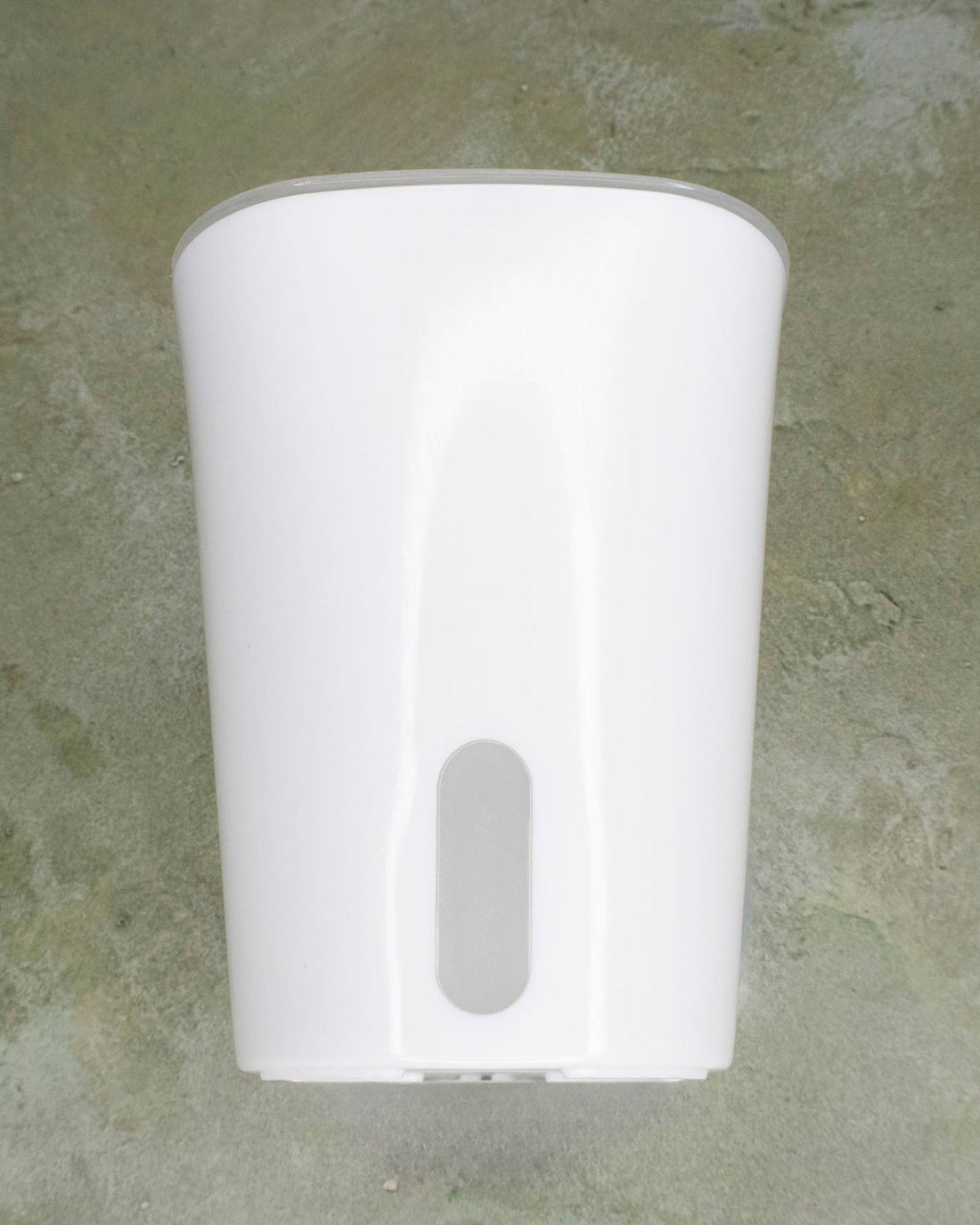 Self-watering pot with transparent inset and water-level window