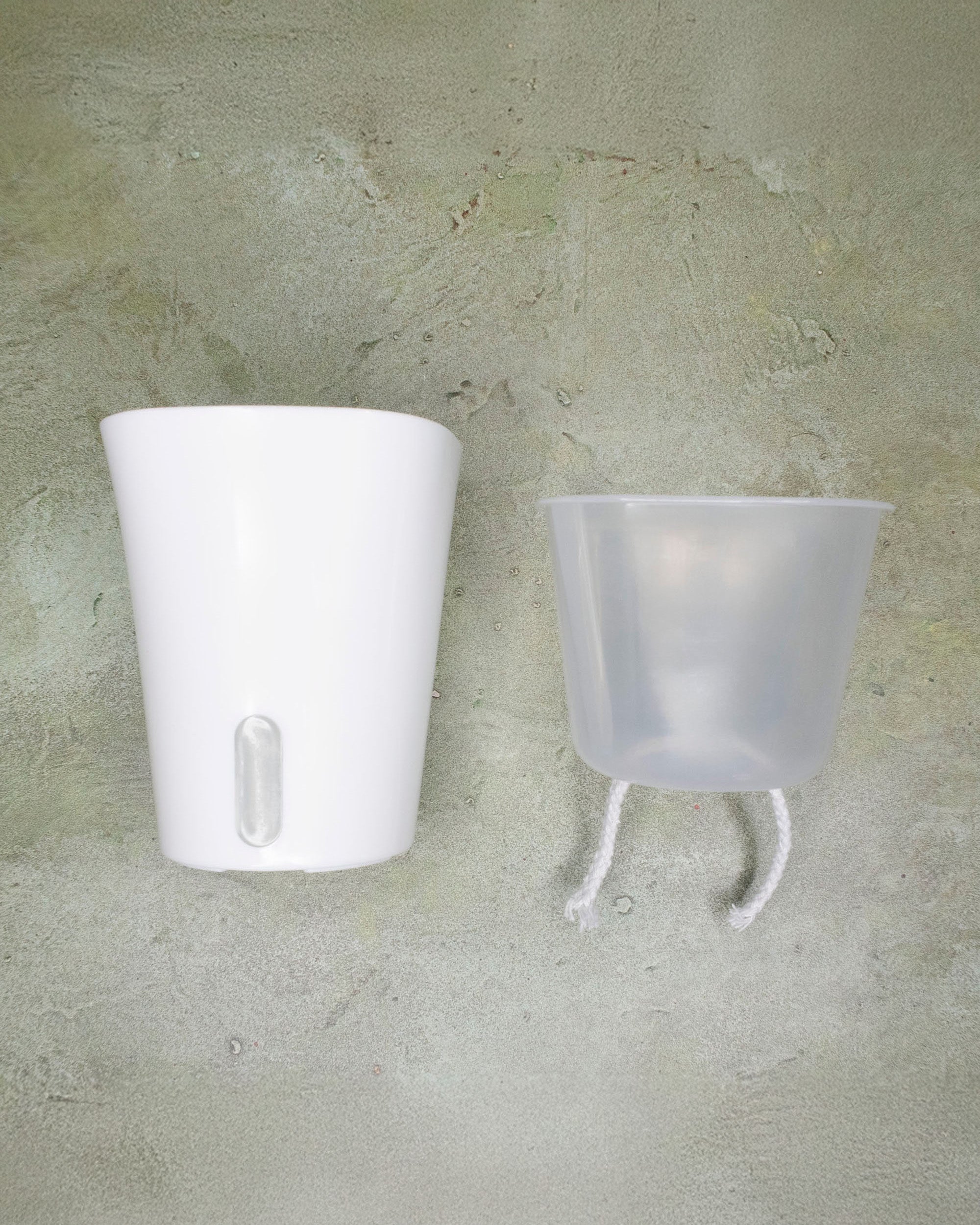 Self-watering planter on a textured concrete wall.