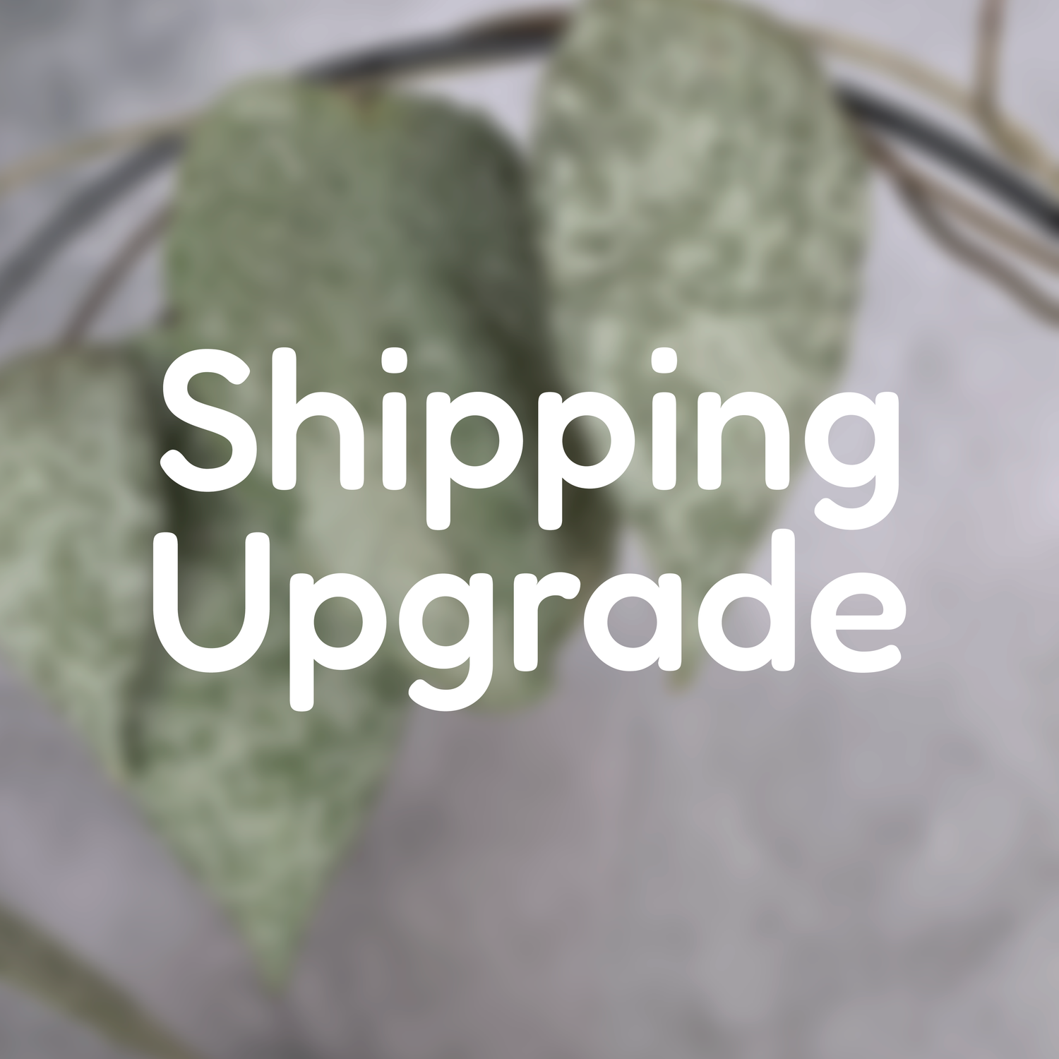 FedEx Shipping Upgrade