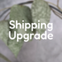 FedEx Shipping Upgrade
