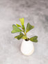 Small white vase with green leaves on a gray background